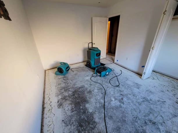Best Water damage contractors near me  in Cordova, AK