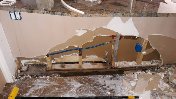 Best Water damage cleanup near me  in Cordova, AK